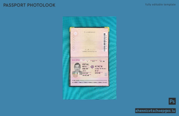Vorschau des Fotos im malaysischen Reisepass 2010-2017